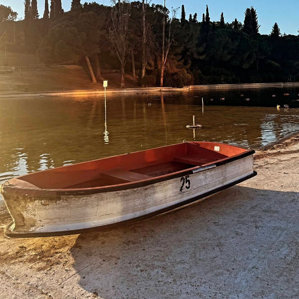 Despedida a las Emblemáticas Barcas del Lago del Parc Catalunya: Reciclaje y un Homenaje al Recuerdo